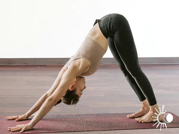 Elève en "Chien tête en bas" assistant au cours de hatha yoga à Villefranche de Lauragais avec Olivia Jeurissen